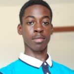 weelann (développeur)